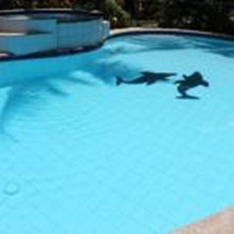 Lost Horizon Beach Dive Resort Bohol Exterior foto
